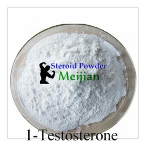 1-Testosterone Dihydroboldenone